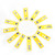 12pcs Plastic Prepared Microscope Slides Animals Insects Flowers Plants Yellow box