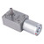 Micro Type DC Speed Reduction Motor Large Torsion Worm Gear Motor 24V (25RPM)