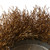 Steel Wire Wheel Cup Brush Polishing for Grinder Rotary Tool
