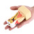 1pc Dental Comprehensive Pathological Disease Caries Study Teaching Tooth Model