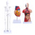 Human Body Model Kit 26CM Detachable Torso 45CM Skeleton Model Heart Anatomical Kit for Medical Teaching