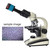 37MP HDMI USB 2 Output Microscope Industrial Digital Camera Video Recorder (-240V )