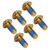 6pcs/box M5x10mm Titanium Alloy Bolts Bike Bicycle Brake Rotor Disc T25 Bolts ScrewsGold