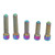 5Pcs Derailleur Screws M4 3Pcs 13.5 2Pcs 20mm Titanium Alloy Rustproof Easy Installation Cage Screws for Mountain Bike Colorful