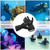 3mm Neoprene Diving Gloves Women Men Anti-slip Snorkeling Gloves for Snorkeling Swimming Surfing Sailing Kayaking Diving