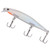 HENG JIA 11CM Vivid Lures Artificial Minnow Fishing Bait with Hooks(H)