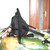 Adjustable Backrest Boating Seat Waterproof Pad Cushioned Back Support for Kayaking Canoeing Drifting Rafting