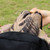 Waterproof Army Camo Tent Tarp Sheet Canopy Awning Rain Cover (2 x 2m)
