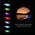 Lixada Fishing Swinger Set Carp Fishing Bite Indicator Swinger Digital Fishing Alarm LED Bite Indicator Illuminated Swinger Fishing Tackle