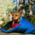 Pet Sleeping Bag Foldable Portable Warm Waterproof Hooded Cat Dog Sleep Case for Outdoor