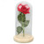 Rose in Glass Dome Lucky Beautiful Symbolism Romantic Enchanted Rose Romantic Gifts with LED Light for Valentine 's Day Green Leaf Safflower
