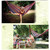 Portable Garden Canvas Hammock Camping Sleeping Swing Bed Hanging Porch Backyard Indoor Outdoor Hammock