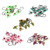50PCS Ice Fishing Hook Sharp Tip Polished Colorful Realistic Shape Portable Ice Fishing Jigs Kit for Winter