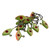 50PCS Ice Fishing Hook Sharp Tip Polished Colorful Realistic Shape Portable Ice Fishing Jigs Kit for Winter