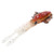 PVC Artificial Simulation Soft Squid Jig Shape Luminous Lure Fish Bait Fishing TackleE
