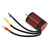 GTSKYTENRC 2838 Brushless Motor 4 Poles RC Brushless Motor for 1/14 1/16 RC Car Part Black Red 3700KV