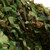3 x 5m Hunting Shooting Hide Army Military Jungle Camouflage Netting For Paitball CS Game