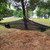 Camping Hammock Portable Multi-people Hammocks for Hiking Travel Backpacking for Backyard & Garden