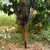 Portable Aluminum Alloy Foldng Fishing Landing Net Pole Plastic Handle