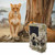 1920*1080P Infrared Night Vision Game Wildlife Hunting Camera with IR Cut