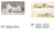 100 Years of Architectural Drawing: 19002000