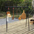 Outdoor Hanging Rack Picnic Cookware Hanging Rack 4 Foot Tripod Collapsible Aluminium Alloy Heavy Load Storage Rack with Hooks for Camping
