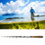 Fishing Rod Telescopic Carbon Sea Rod Portable Spinning Hand Fishing Accessory 150cm