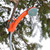 Outdoor Camping Shower Pump USB Rechargeable Shower Head with Folding Bucket for Camping Hiking Traveling