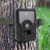 Outdoor Waterproof 1080P 12MP Hunting Trail Camera Wildelife Infrared Photo Trap Camcorder