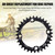 32/34/36/38T BCD 104 Mountain Bike Steel Single Crank Chain Ring Repair Parts (Black 32T)