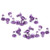 ZTTO 24PCS Alloy Steel Bicycle Brake Rotor Bolts Mountain Bike M5x10mm Disc T25 ScrewPurple
