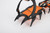 12 tooth professional crampons outdoor rock climbing ice fishing snow skid shoe cover mountaineering skid gear 12 teeth