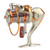 12BB Saltwater Spinning Wheel Ocean Sea Boat Ice Fishing Reel Trolling Metal (EF2000)