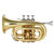 LADE Professional Palm Pocket Trumpet Tone Flat B Bb Brass Wind Instrument with Mouthpiece Gloves Cloth Brush Grease Hard Case