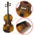 4/4 Full Size Acoustic EQ Electric Violin Fiddle Kit Solid Wood Spruce Face Board with Bow Hard Case Shoulder Rest Audio Cable Extra Strings Clean Cloth  Sunset