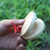 Children Finger Castanet Wooden Castanet Musical Instrument Rhythm Educational Toy for Kids