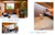 Wood Architecture Now! Vol. 2