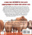 A Field Guide to Cows: How to Identify and Appreciate America's 52 Breeds