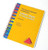Pyramid Approach to Education Lesson Plans for Young Children