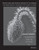 Student Study Guide and Student Solutions Manual to accompany Organic Chemistry 11e