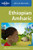 Ethiopian Amharic (Lonely Planet Phrasebooks)