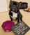 Dog Shaming