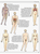 The Human Body: An Illustrated Guide to its Structure, Function, and Disorders