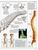 The Human Body: An Illustrated Guide to its Structure, Function, and Disorders