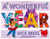 A Wonderful Year