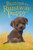 Buttons the Runaway Puppy (Holly Webb Animal Stories) Buttons the Runaway Puppy (Holly Webb Animal Stories)