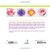 How to Make 100 Paper Flowers: Ideas and Instruction for Folding, Cutting, and Simple Sculptures