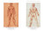 Leonardo da Vinci: The Graphic Work