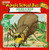 Spins a Web : A Book about Spiders (Magic School Bus)