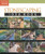Stonescaping Idea Book (Taunton's Idea Book Series)